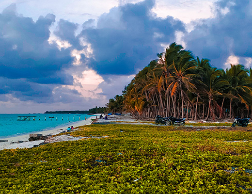 potential of lakshadweep islands