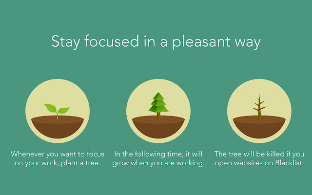 Forest: stay focused, be present