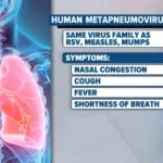 Human Metapneumovirus: Is it another threat by China after COVID-19