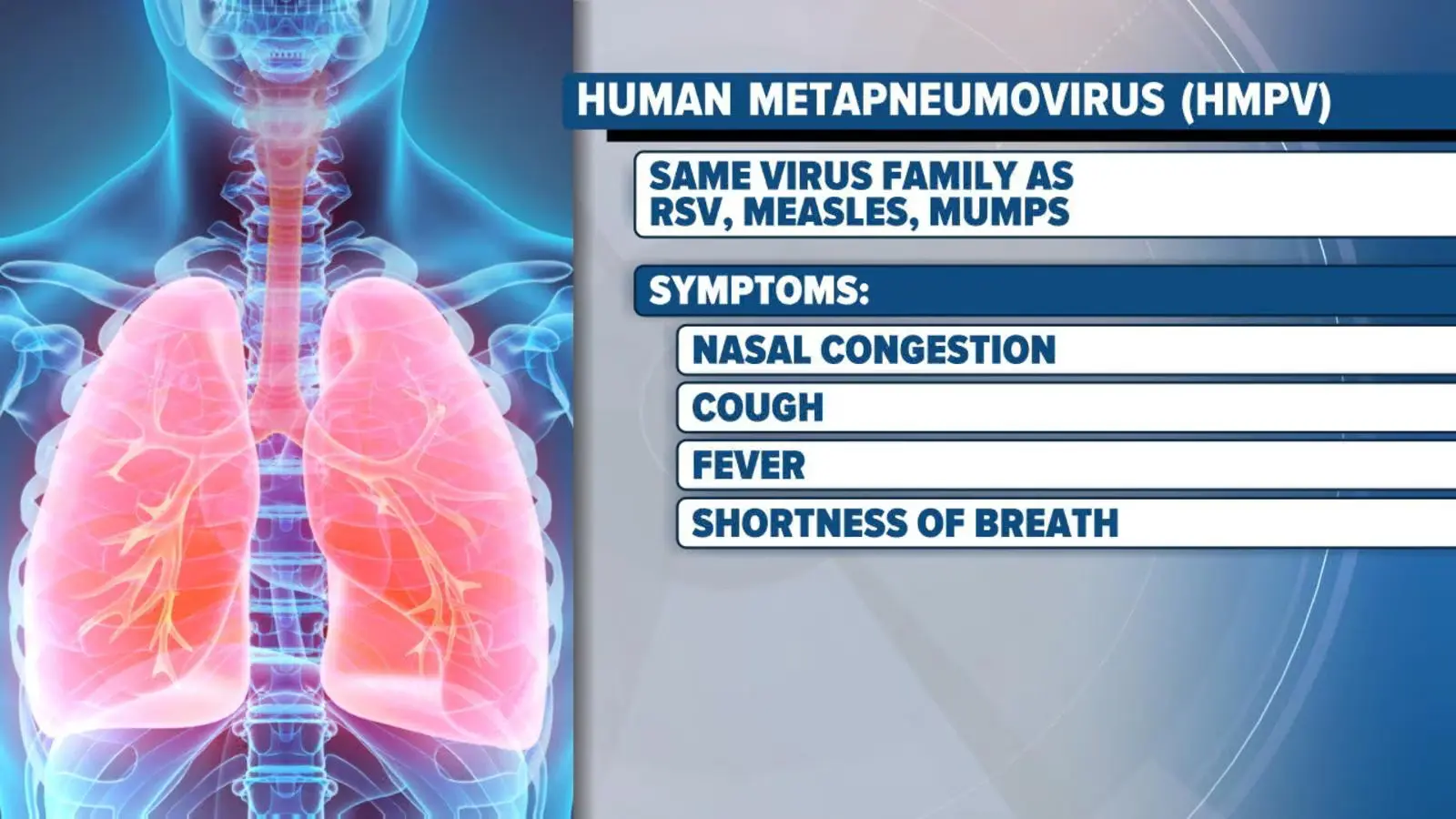 human metapneumovirus