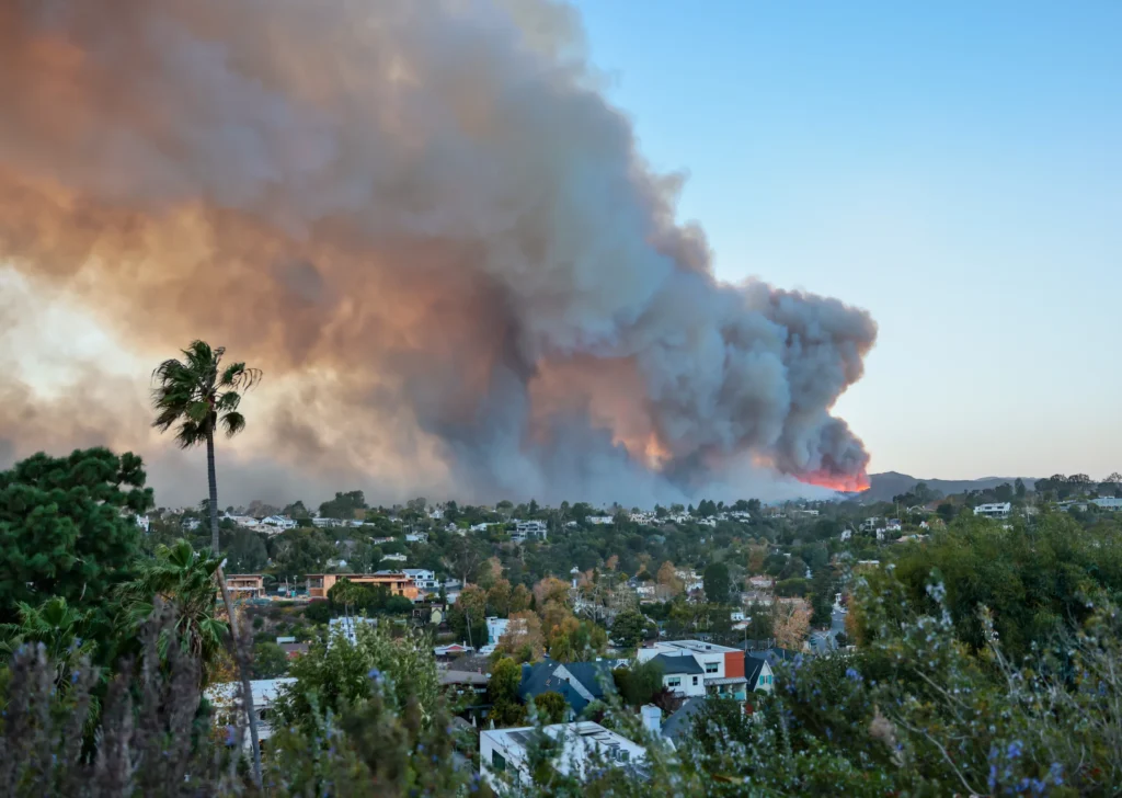 Los Angeles wildfires