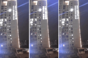 Projector in the Dark: Digital Protest in Contemporary China